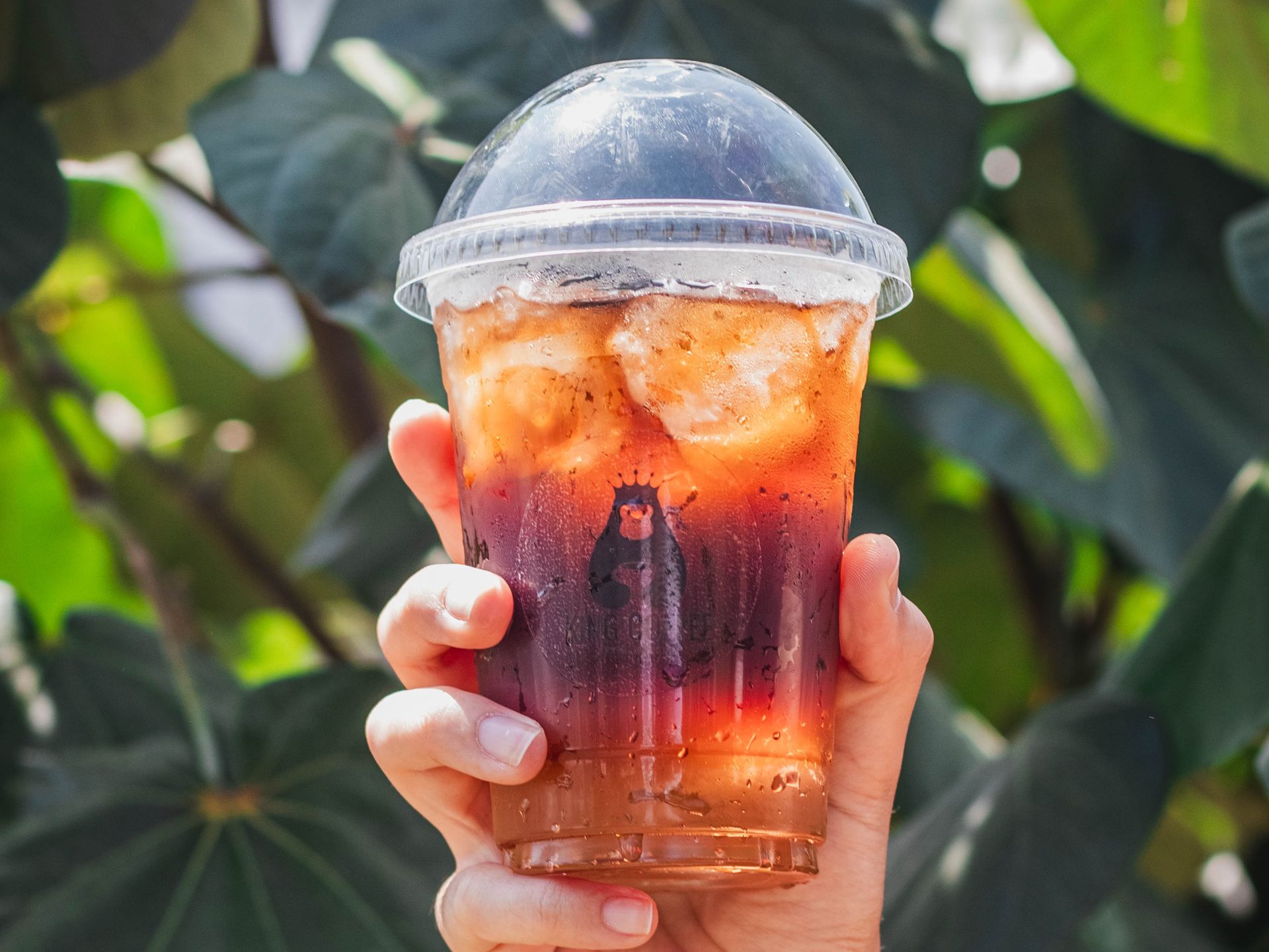 COLD BREW (Cold Brew)