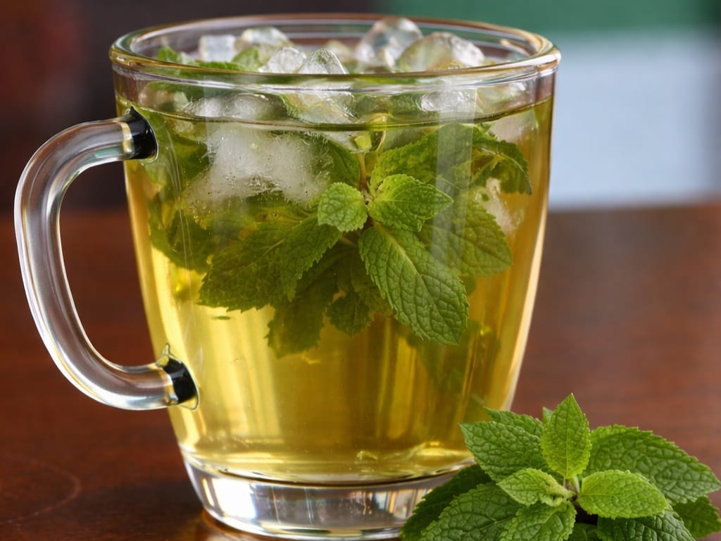 MENTA (Frío)