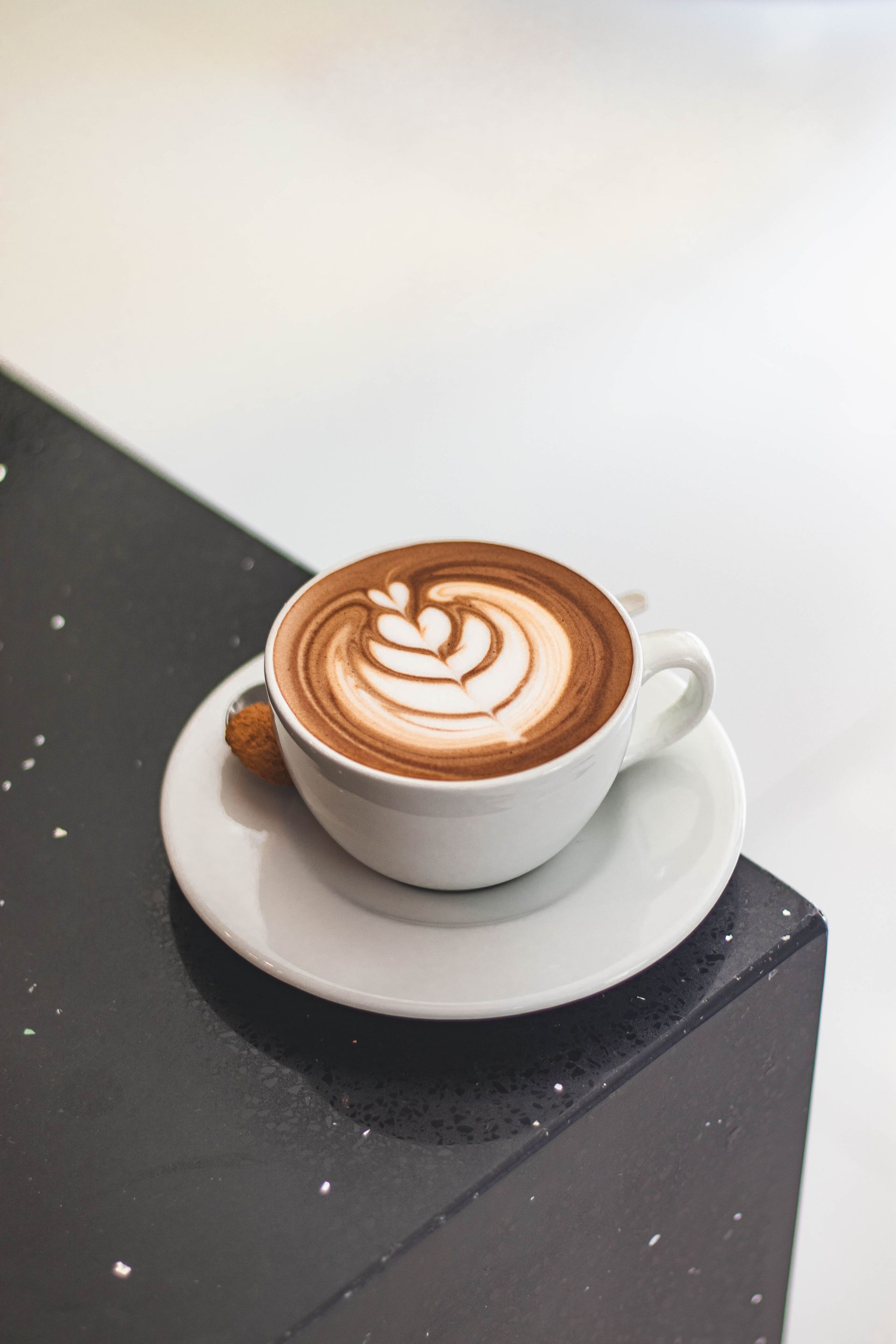 MOCCACCINO (Moccaccino)