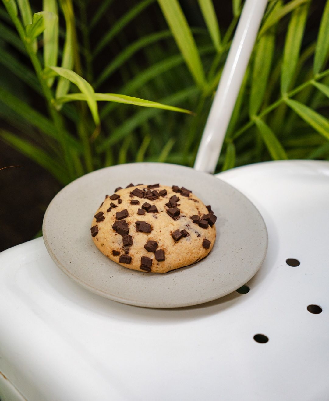 GALLETA CHOCOCHIPS